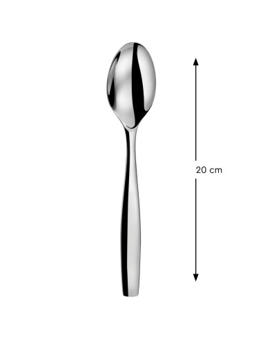 Cuchara de mesa acero inoxidable 18/0 20 cm Odyssee Pro.mundi