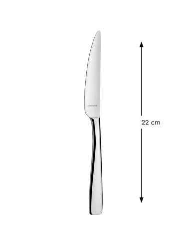 Cuchillo de mesa monobloque dentado 22 cm Odyssee Pro.mundi