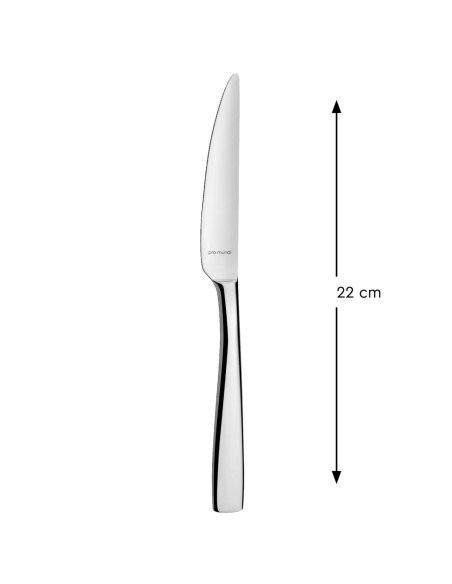 Cuchillo de mesa monobloque dentado 22 cm Odyssee Pro.mundi