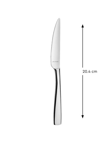 4 cm Odyssee Pro.mundi