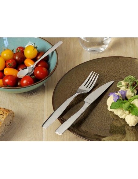 Cuchillo de pescado acero inoxidable 18/0 20,4 cm Odyssee Pro.mundi