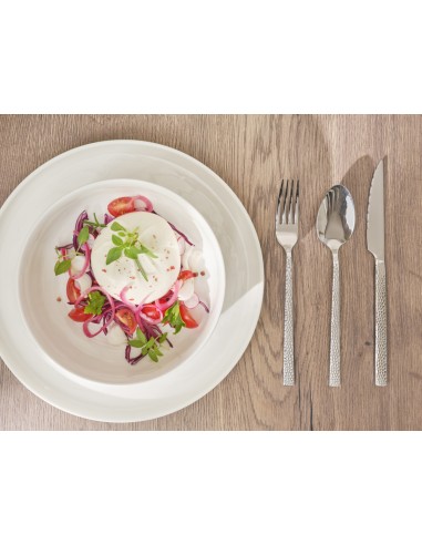 Cuchillo de postre monobloque 20,6 cm Alma Pro.mundi