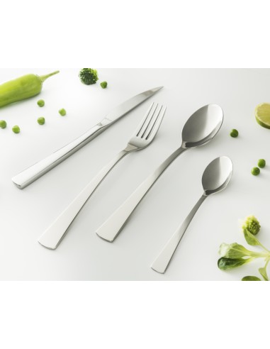 Cuchillo de mesa monobloque dentado 22 cm Izia Pro.mundi