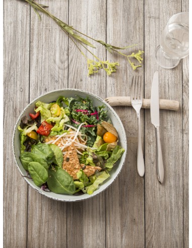 Plato hondo redondo gris gres esmaltado Ø 22 cm Sky Pro.mundi