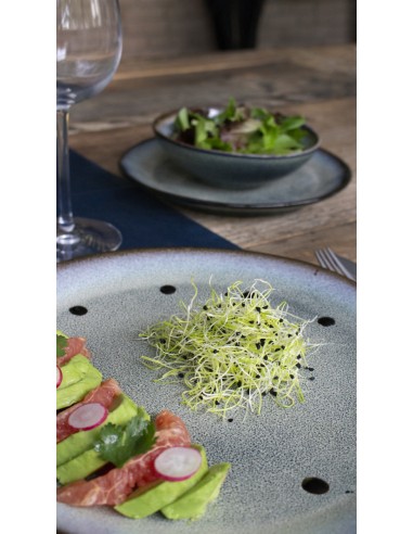 Plato coupe hondo redondo gris gres esmaltado Ø 23 cm Galaxy Pro.mundi