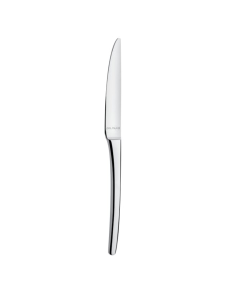 Cuchillo de postre monobloc dentado 20