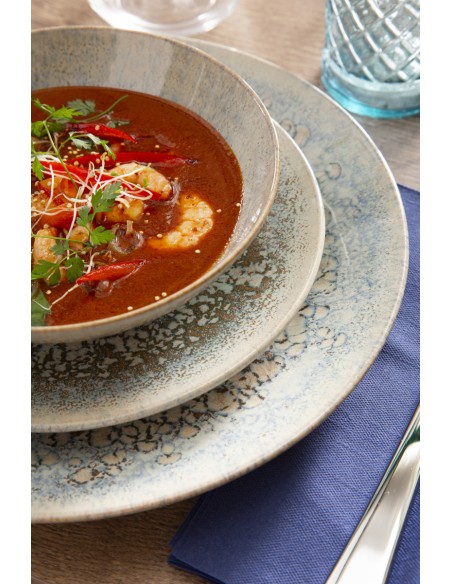 Plato coupe redondo gris gres esmaltado Ø 27 cm Tropic Accolade