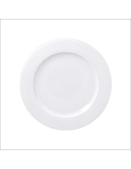 Access Plato llano Ø23