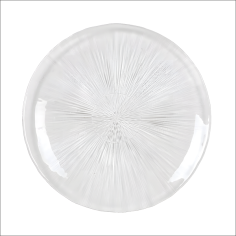 Aster Plato llano Ø26