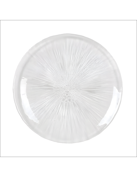 Aster Plato llano Ø26