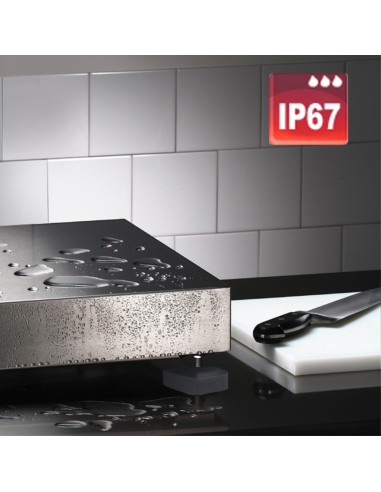 Báscula de recepción 150 kg 20 °C 230v Pro.cooker