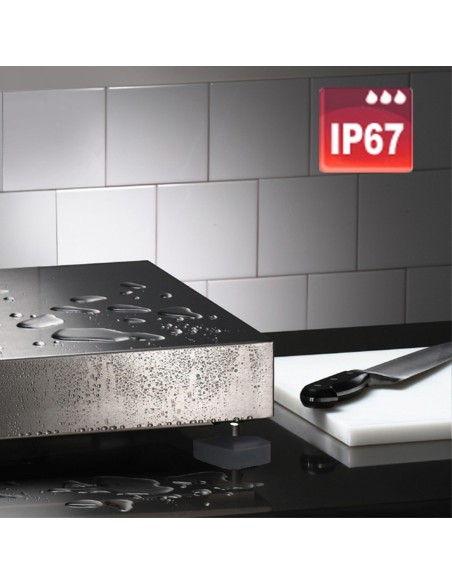 Báscula de recepción 150 kg 20 °C 230v Pro.cooker