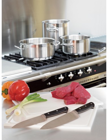 Cuchillo de chef 25 cm acero plástico liso Qualicoup Pro.cooker