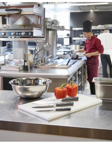 Cuchillo de chef 20 cm acero plástico liso Qualicoup Pro.cooker