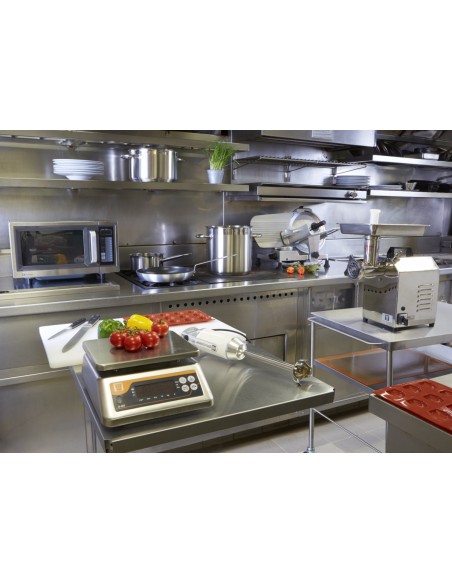 Rallador inox 33 cm Pro.cooker