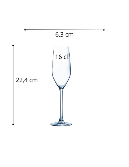 Copa flauta de vidrio 16 cl Allegro Pro.mundi