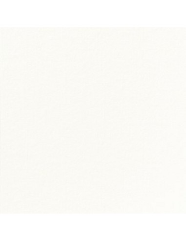 Servilleta blanca no tejido 40x40 cm plegada en 4 Softiss Pro.mundi (60 unidades)