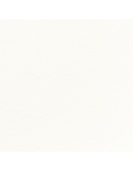 Servilleta blanca no tejido 40x40 cm plegada en 4 Softiss Pro.mundi (60 unidades)