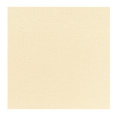 Servilleta crema no tejido 40x40 cm plegada en 4 Softiss Pro.mundi (60 unidades)