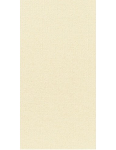 Servilleta crema no tejido 40x40 cm plegada en 8 Softiss Pro.mundi (60 unidades)