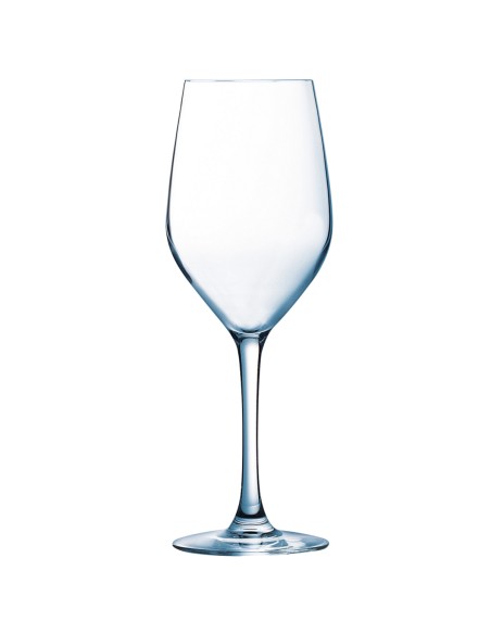 Copa de vidrio 45 cl Allegro Pro.mundi