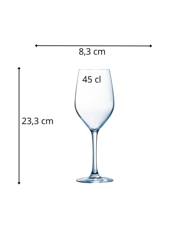 Copa de vidrio 45 cl Allegro Pro.mundi