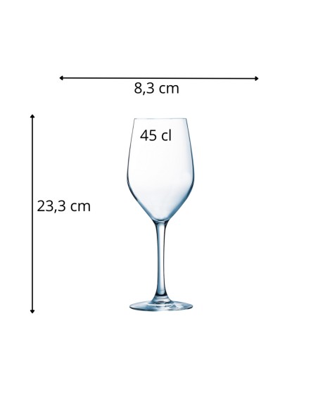 Copa de vidrio 45 cl Allegro Pro.mundi