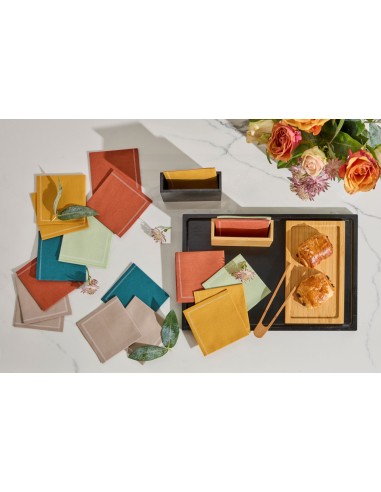 Servilleta de cóctel cuadrada terracota algodón 20x20 cm Cosy Pro.mundi (1000 unidades)