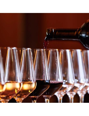 Copa Vino Blanco Vidrio Transparente 31 Cl Mencia-Tensionada Vicrila | Pilsa