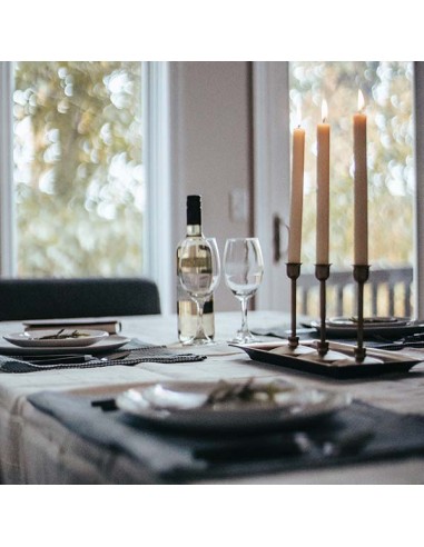 Cup Burgundy Transparent Glass 47 Cl Pinot Vicrila | Pilsa