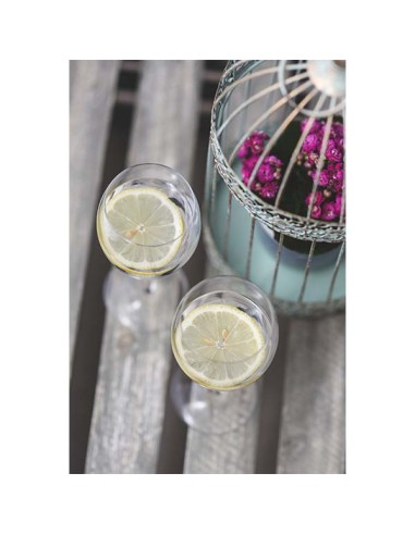 Cup White Wine Transparent Glass 35 Cl Pinot Vicrila | Pilsa