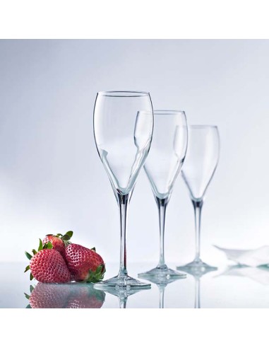 Copa Cava Vidrio Transparente 17 Cl Subirat Vicrila | Pilsa