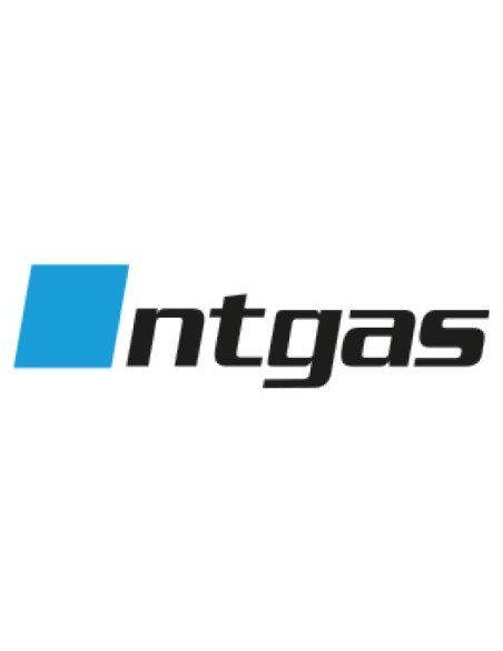 NT GAS